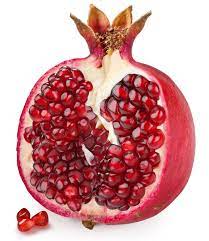 Lola Montez the Pomegranate