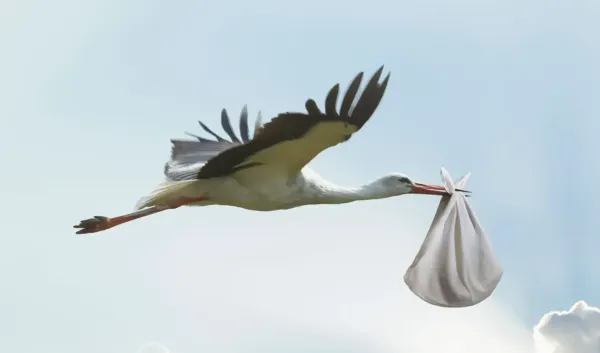 Storks and Babies