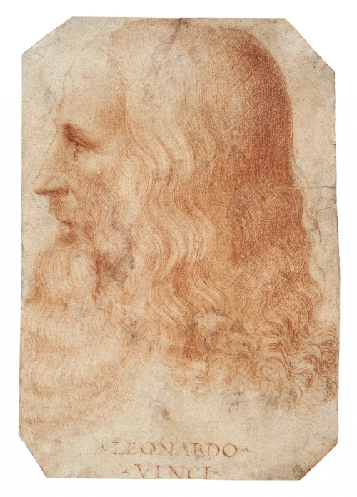 Michelangelo vs Leonardo