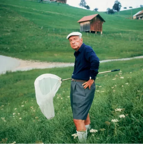 Vladimir Nabokov and butterflies