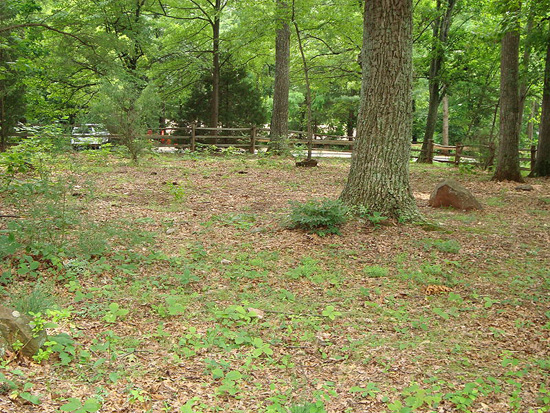 slave-graves-at-Monticello